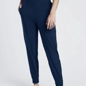 Athleta Brooklyn Jogger Navy Women's Size 24 Athleisure Athelticwear Casual